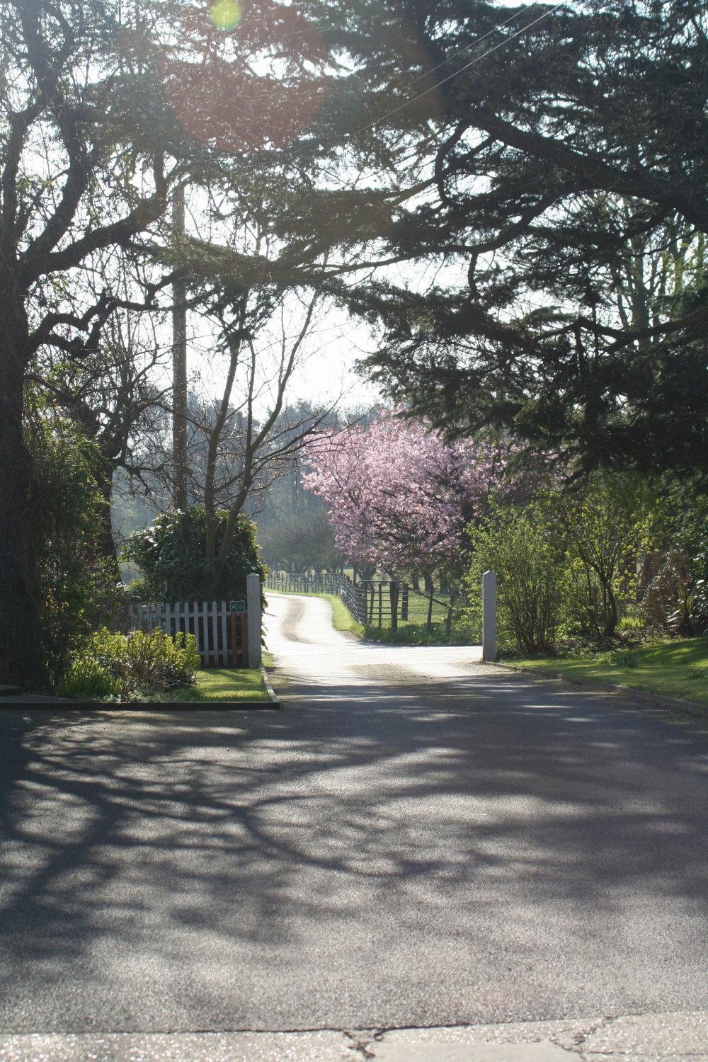 Ingon Bank Farm Bed And Breakfast Stratford-upon-Avon Eksteriør billede